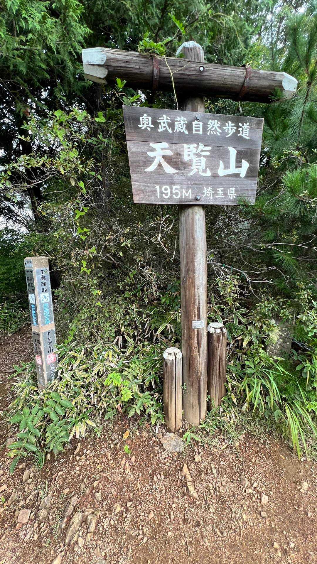 飯能アルプス（天覚山〜多峯主山〜天覧山） の写真 12