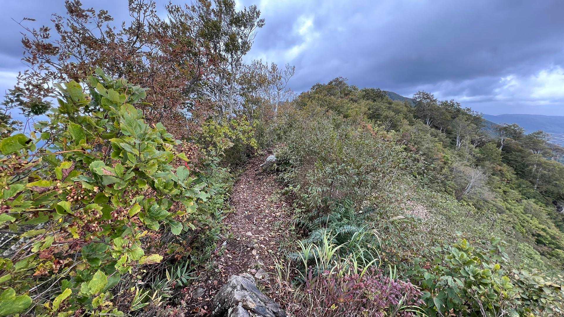 信越トレイル#3（sec.4／仏ヶ峰登山口〜鍋倉山・黒倉山〜関田峠） の写真 21