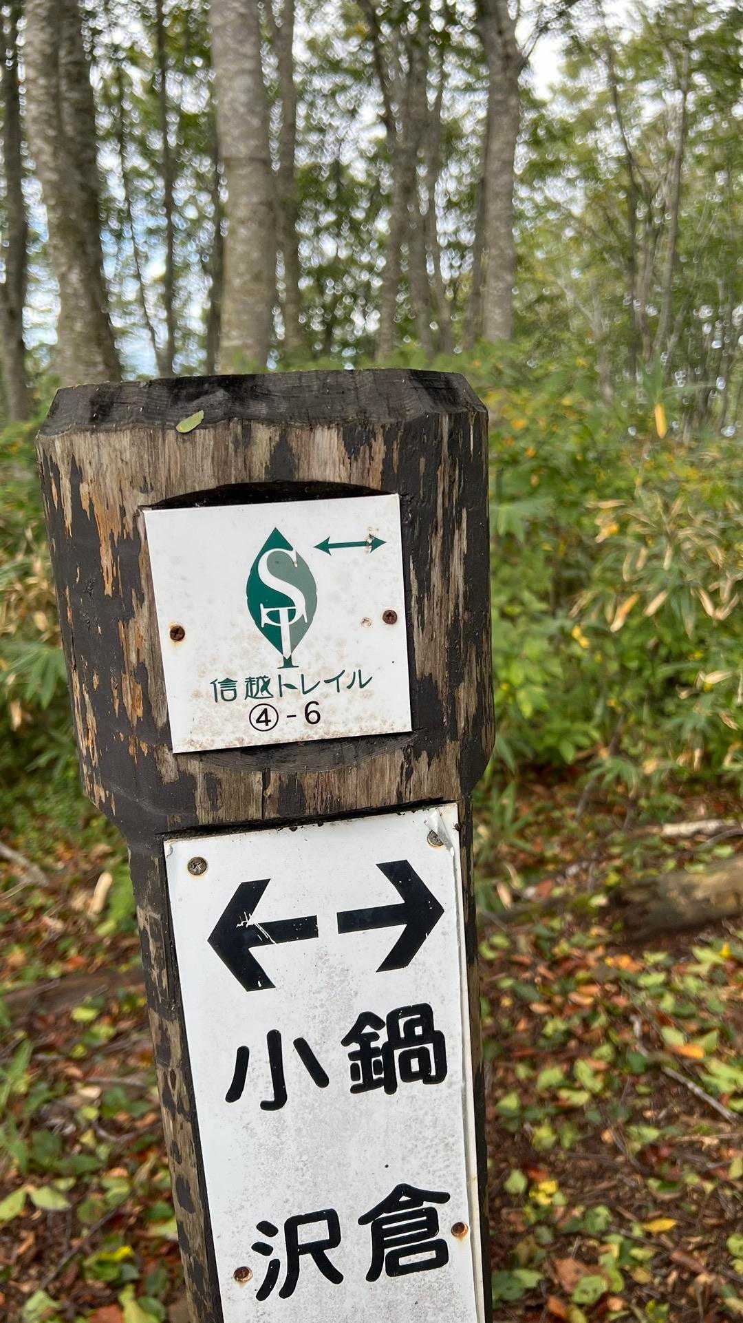 4-6