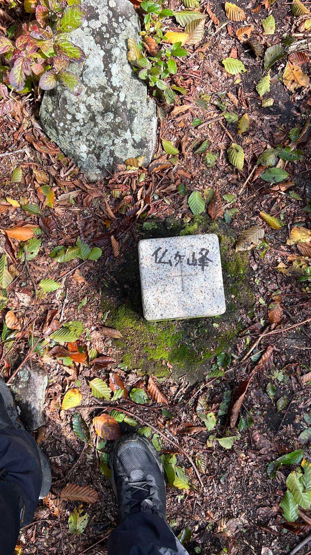 信越トレイル#3（sec.4／仏ヶ峰登山口〜鍋倉山・黒倉山〜関田峠） の写真 13