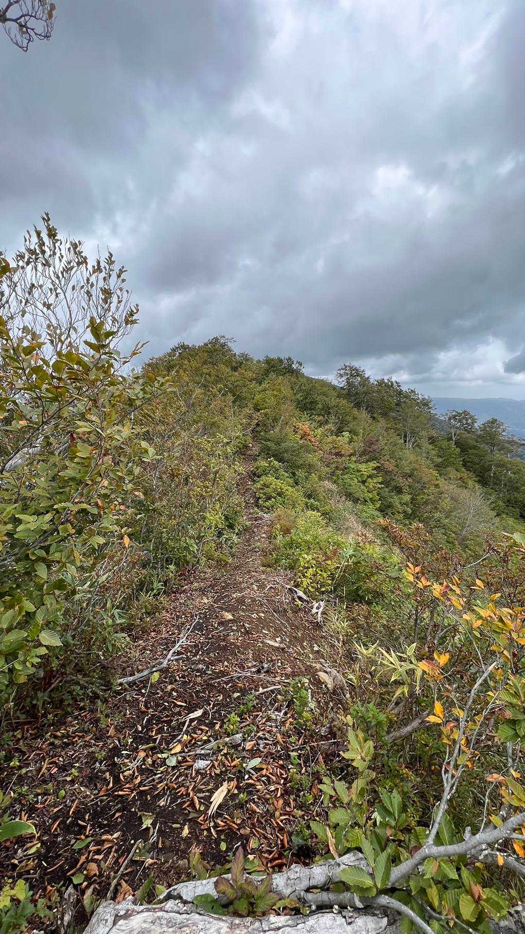 信越トレイル#3（sec.4／仏ヶ峰登山口〜鍋倉山・黒倉山〜関田峠） の写真 22