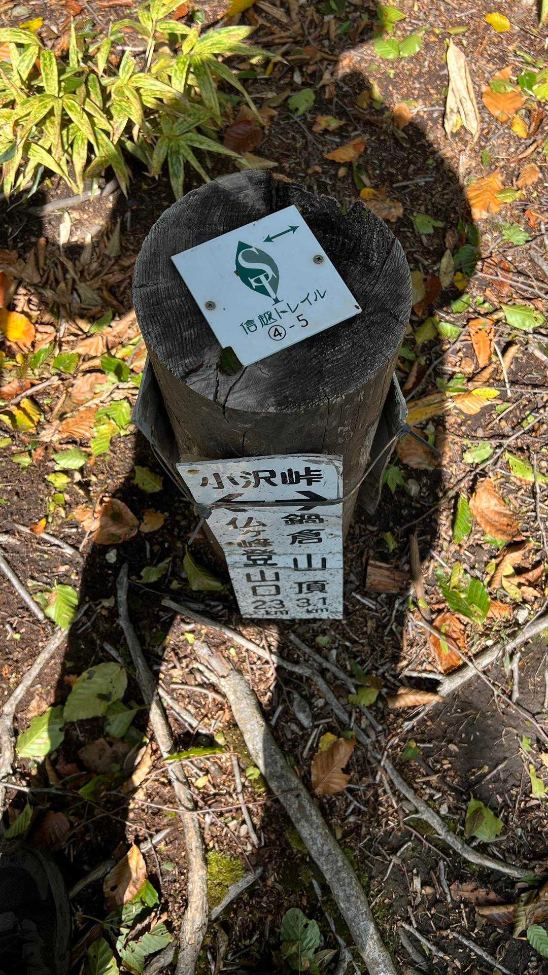 4-5、小沢峠