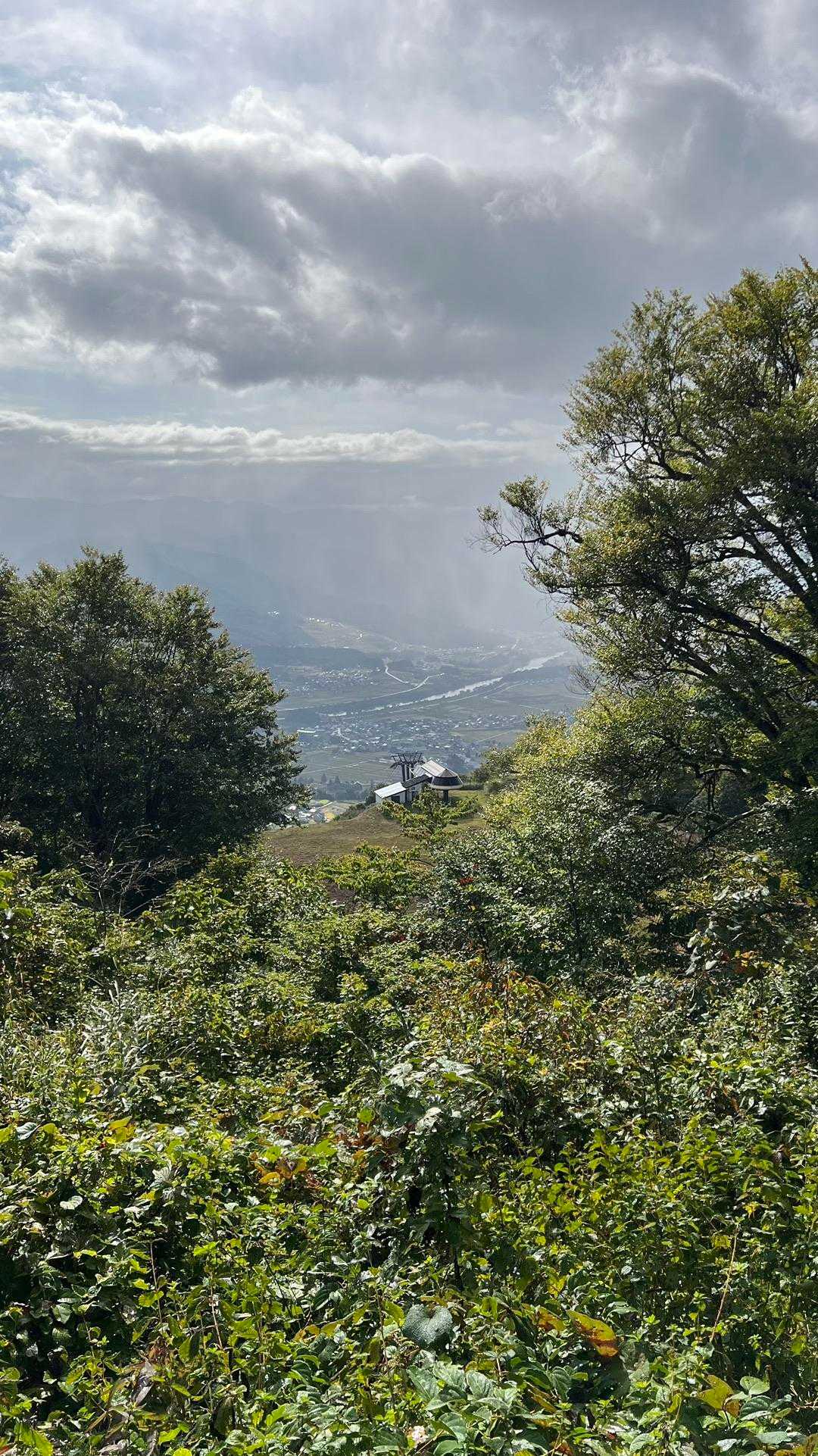 信越トレイル#3（sec.4／仏ヶ峰登山口〜鍋倉山・黒倉山〜関田峠） の写真 5