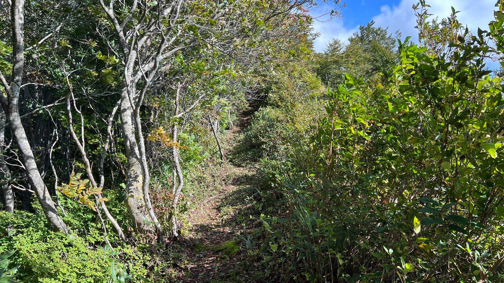 信越トレイル#3（sec.4／仏ヶ峰登山口〜鍋倉山・黒倉山〜関田峠） の写真 12