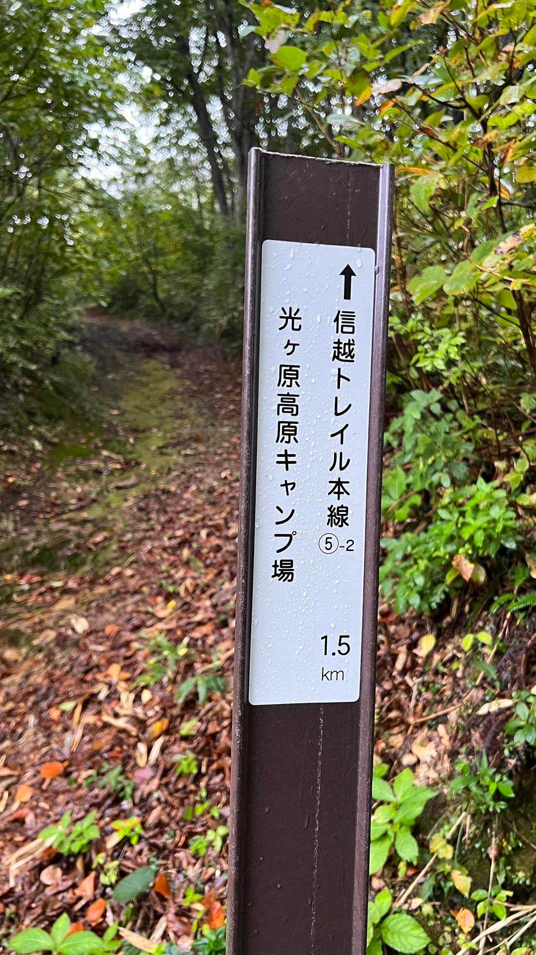 信越トレイル#3（sec.4／仏ヶ峰登山口〜鍋倉山・黒倉山〜関田峠） の写真 46