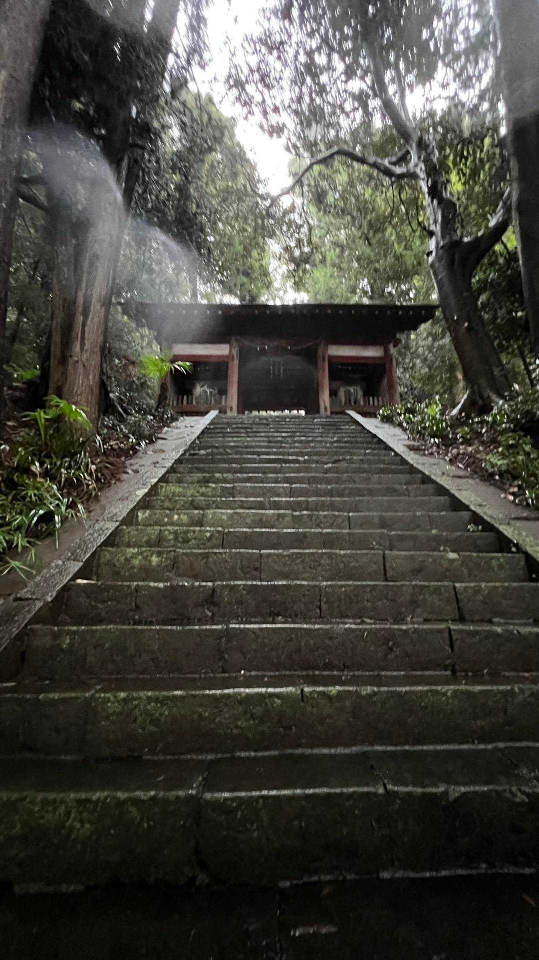 孫山・堂所山・景信山・城山（小仏城山）・高尾山・神変山 の写真 13