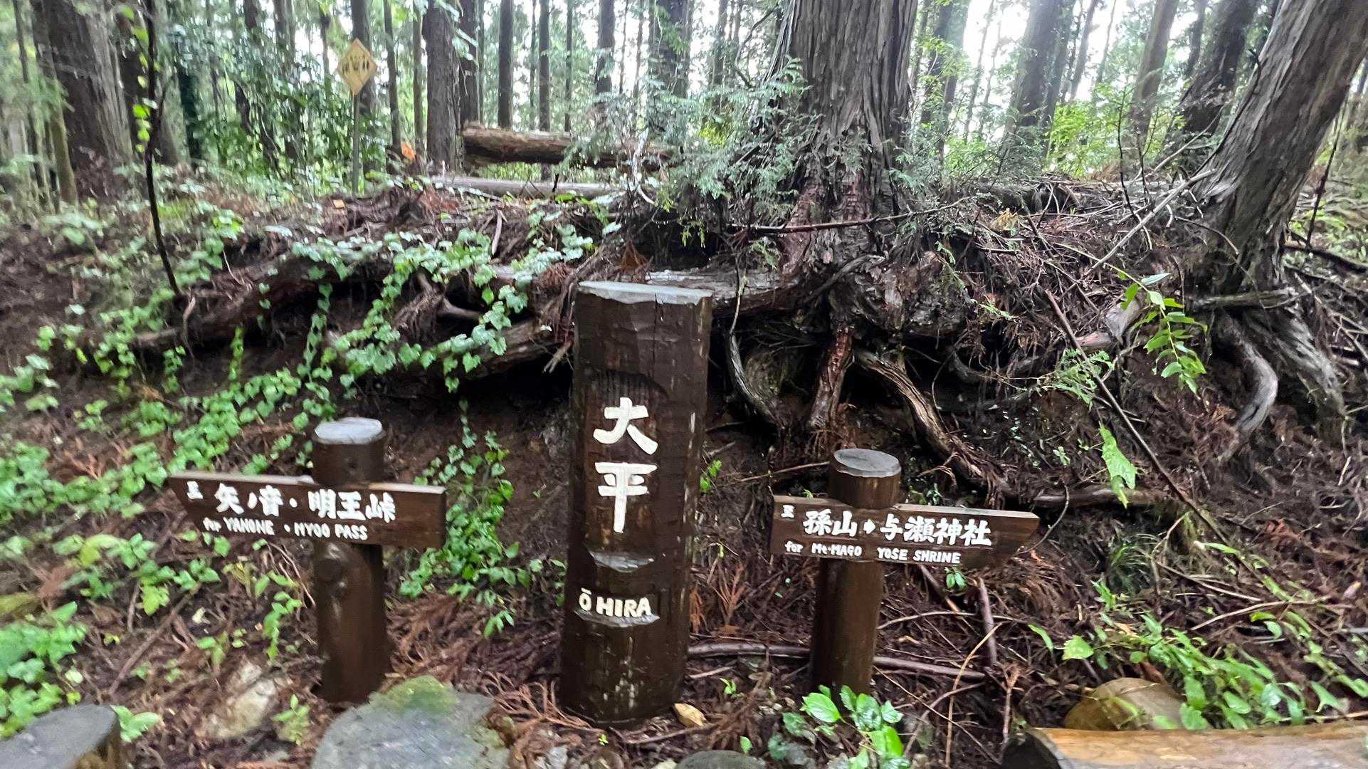 孫山・堂所山・景信山・城山（小仏城山）・高尾山・神変山 の写真 28