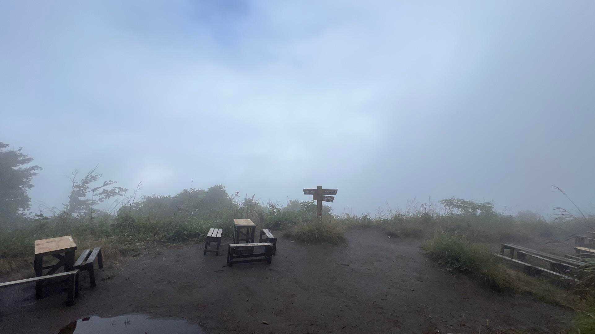 孫山・堂所山・景信山・城山（小仏城山）・高尾山・神変山 の写真 44