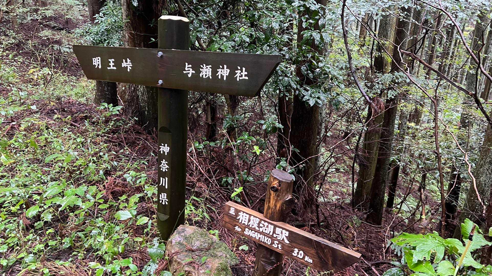 孫山・堂所山・景信山・城山（小仏城山）・高尾山・神変山 の写真 30