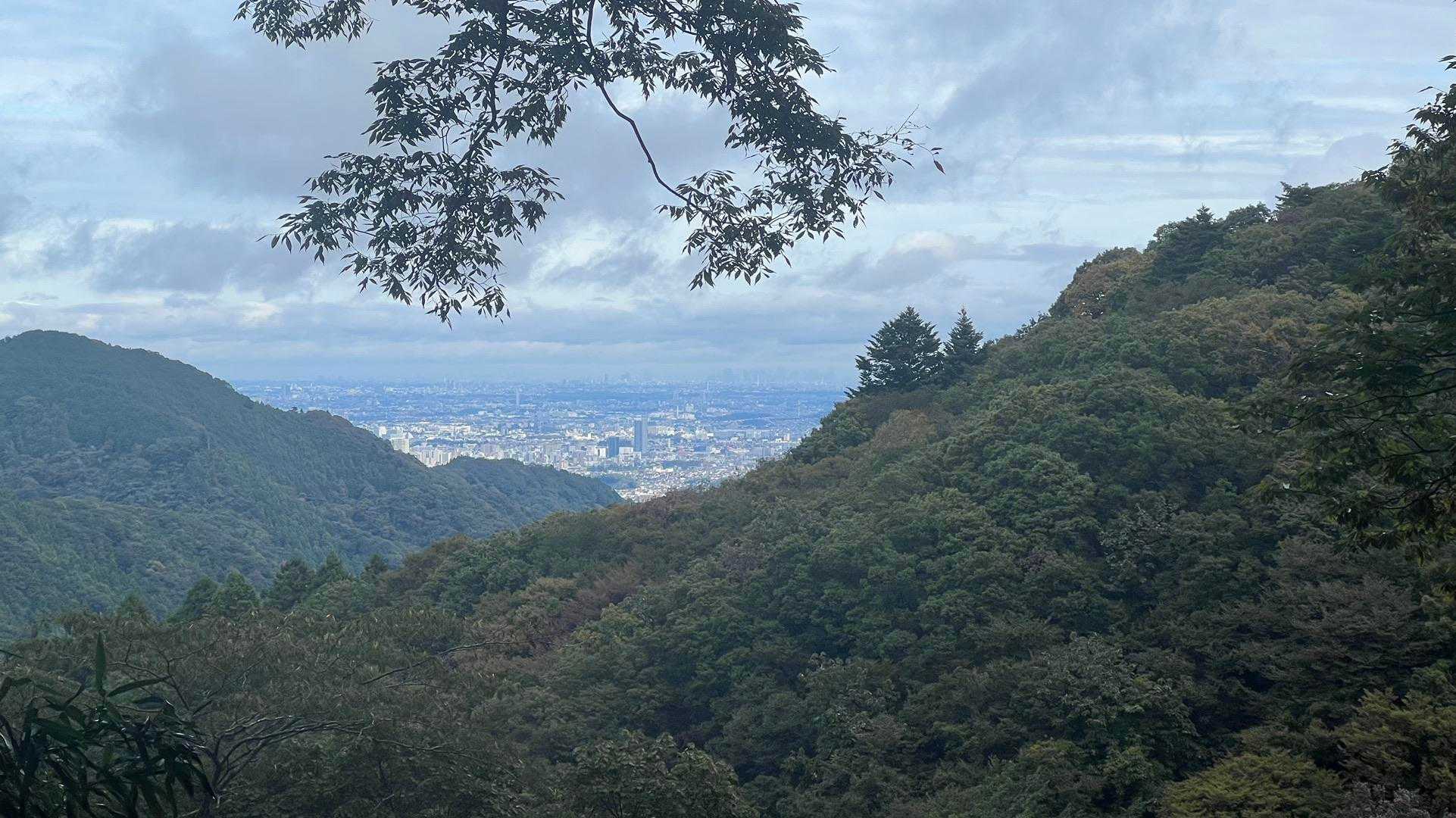 孫山・堂所山・景信山・城山（小仏城山）・高尾山・神変山 の写真 49