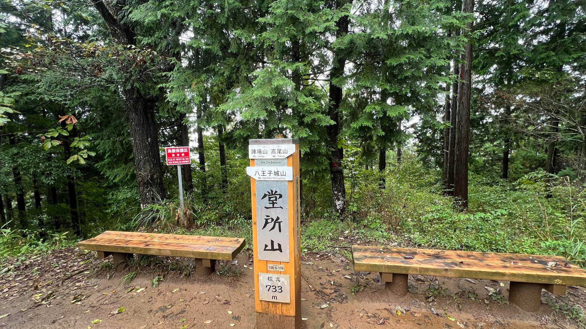 孫山・堂所山・景信山・城山（小仏城山）・高尾山・神変山 の写真 42