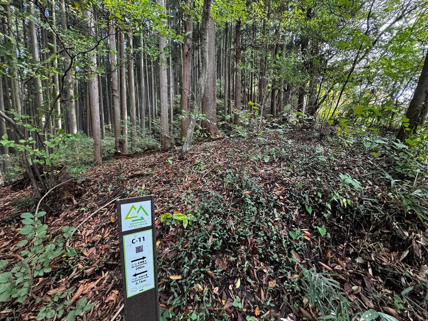生瀬富士・茨城のジャンダルム・立神山・月居山 の写真 2
