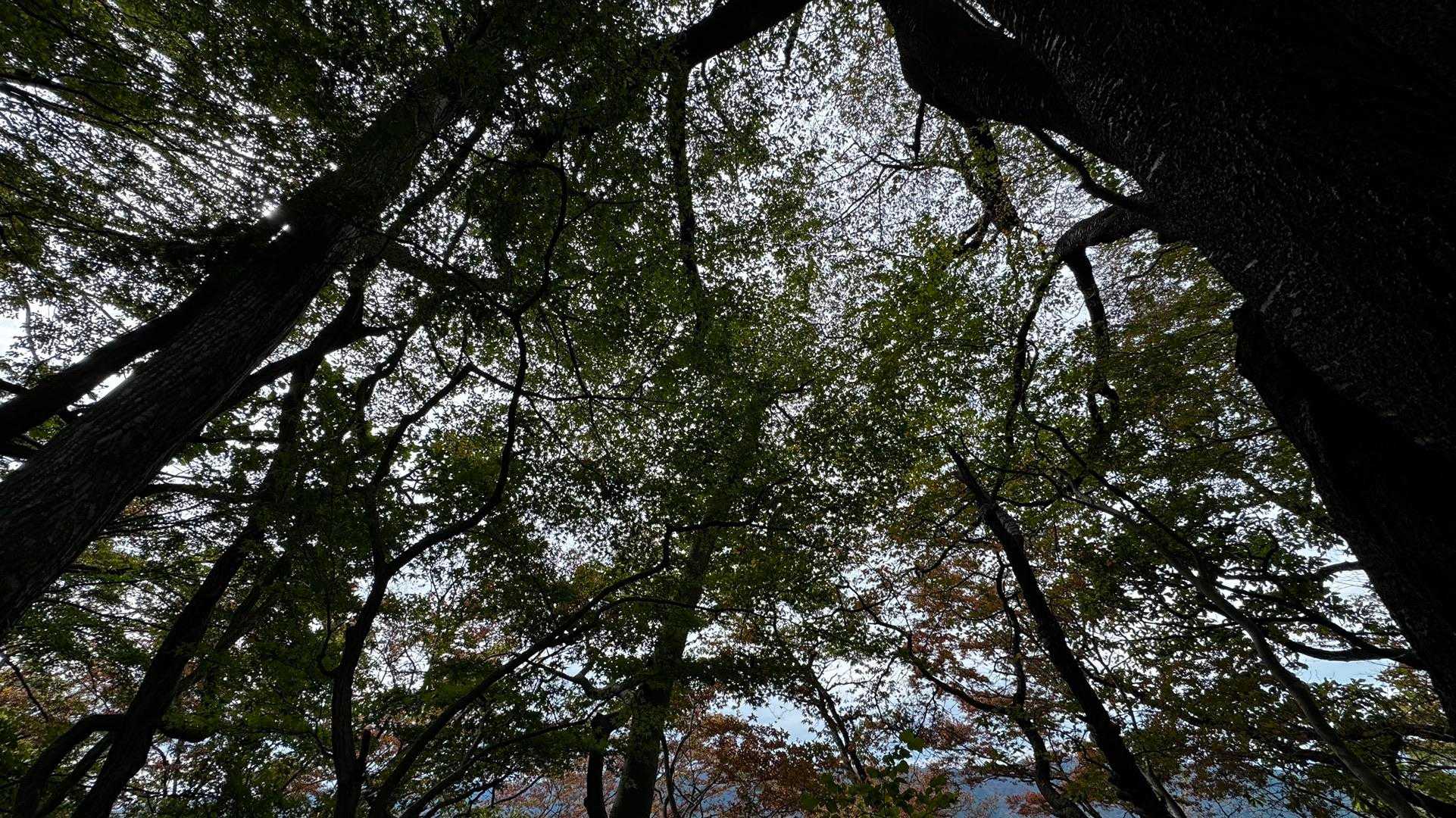 生瀬富士・茨城のジャンダルム・立神山・月居山 の写真 10