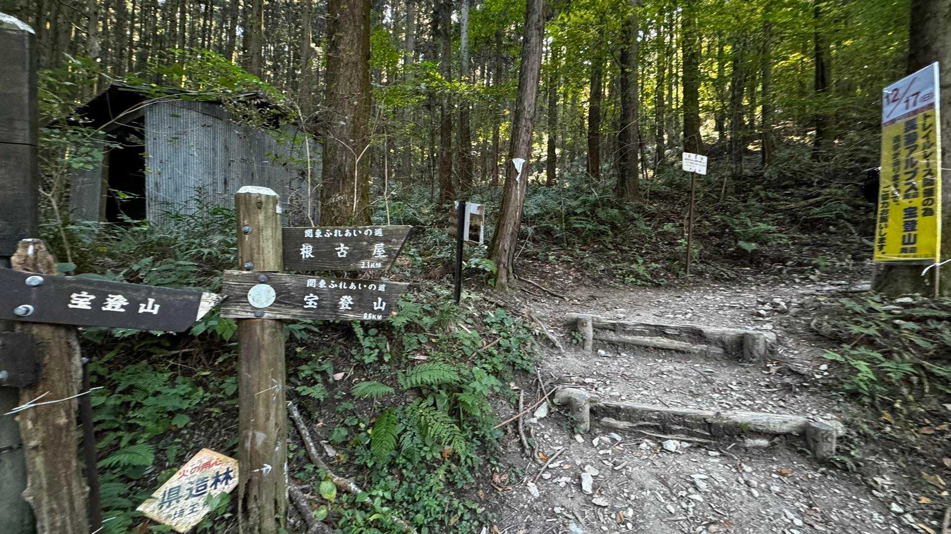 長瀞アルプス（野上駅〜野上峠〜小鳥峠〜宝登山） の写真 8