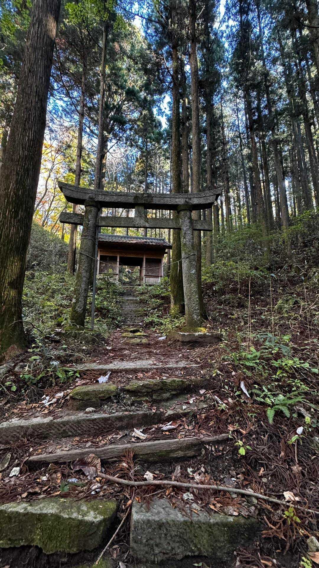 竪破山・胎内石・太刀割石〜奈々久良の滝 の写真 10