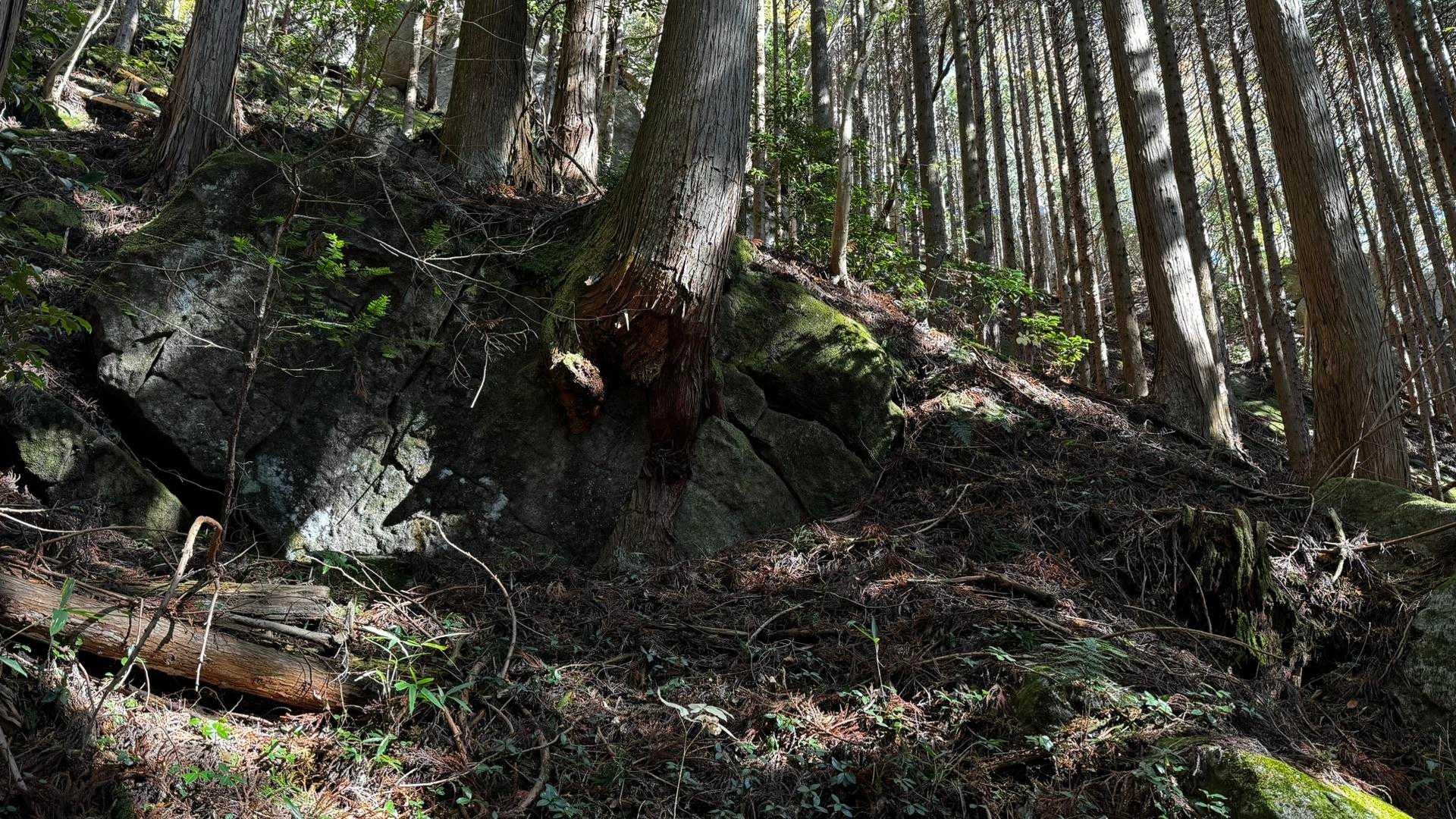 竪破山・胎内石・太刀割石〜奈々久良の滝 の写真 4