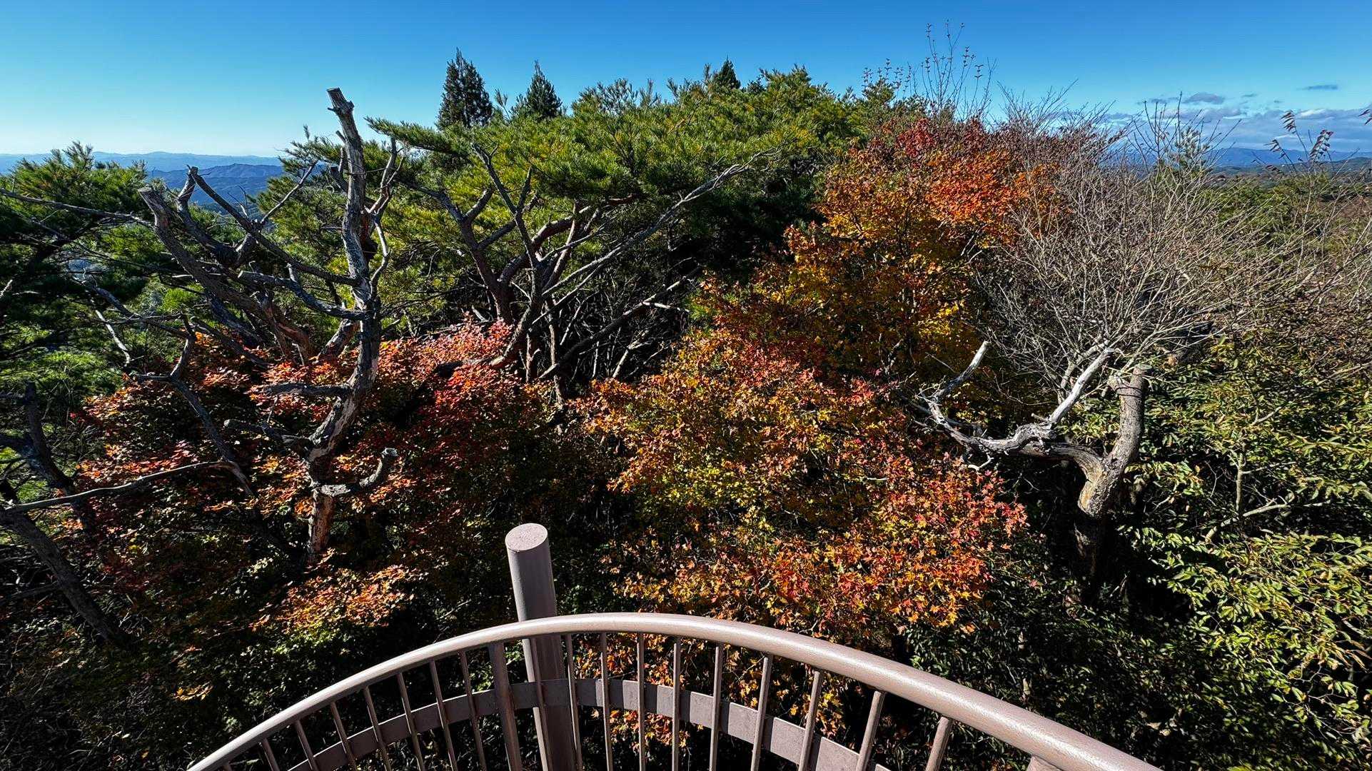 竪破山・胎内石・太刀割石〜奈々久良の滝 の写真 13