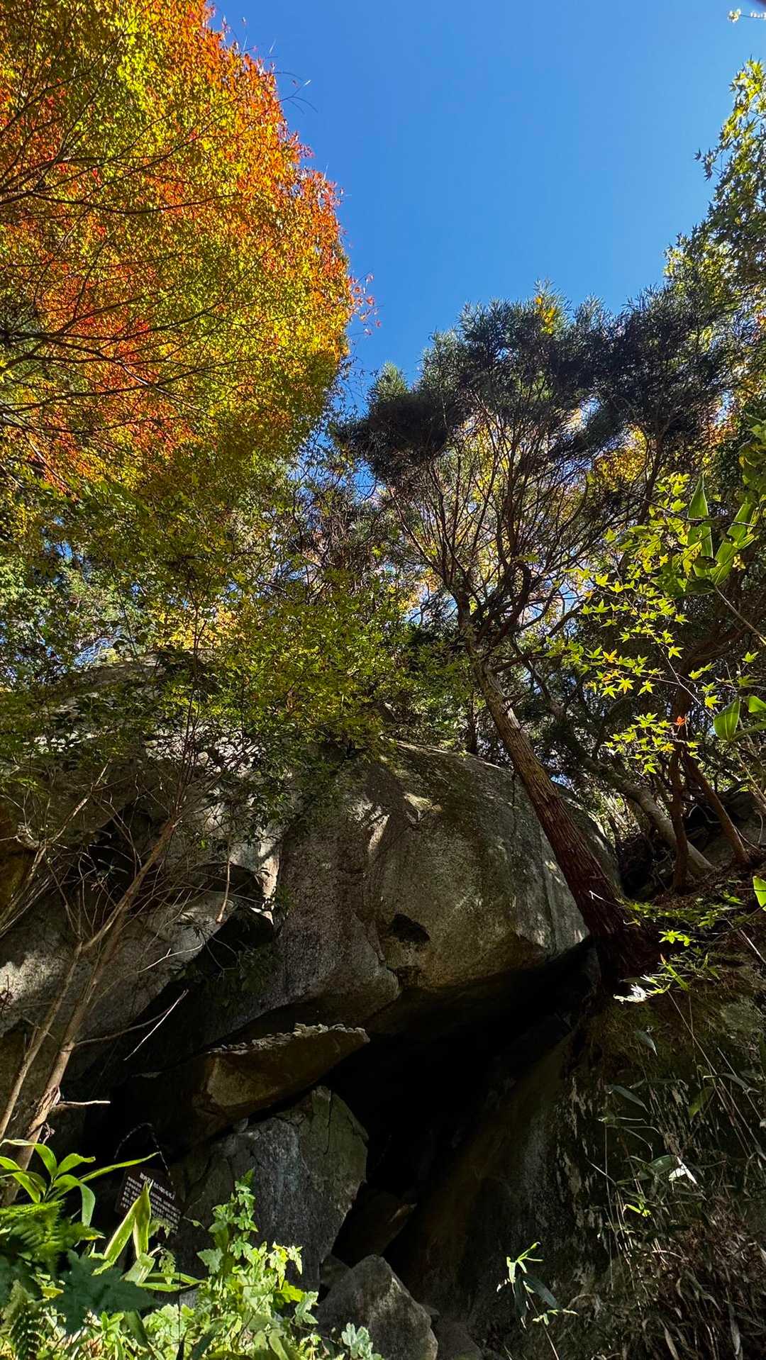 竪破山・胎内石・太刀割石〜奈々久良の滝 の写真 15