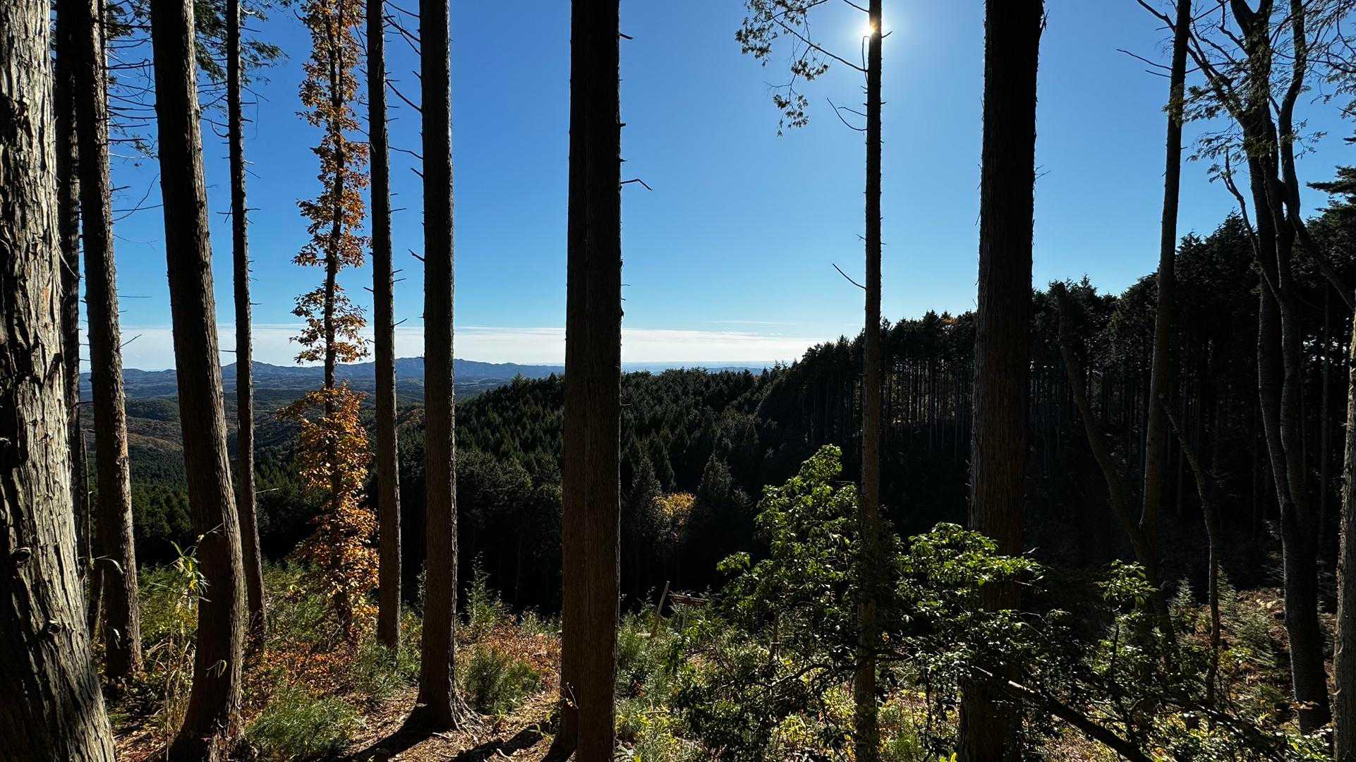 竪破山・胎内石・太刀割石〜奈々久良の滝 の写真 29