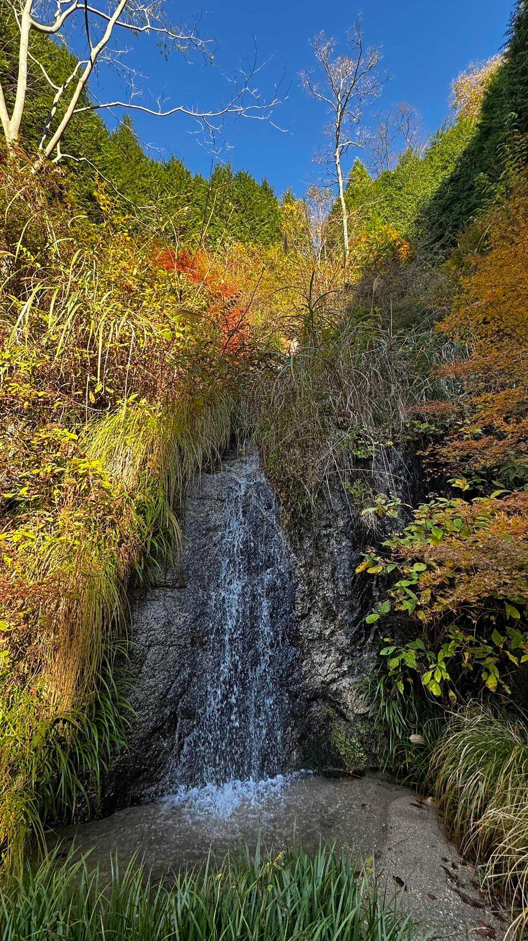 竪破山・胎内石・太刀割石〜奈々久良の滝 の写真 30
