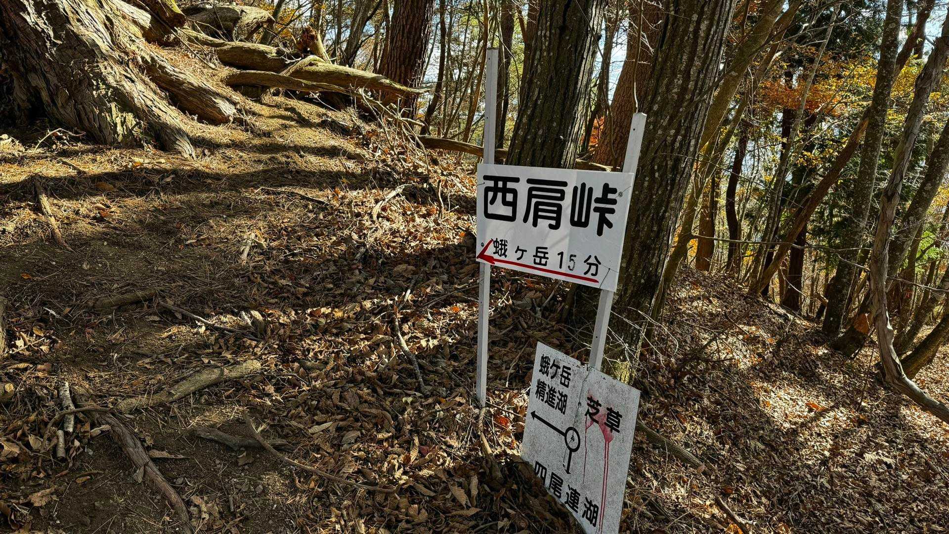 蛾ヶ岳・大畠山 の写真 9