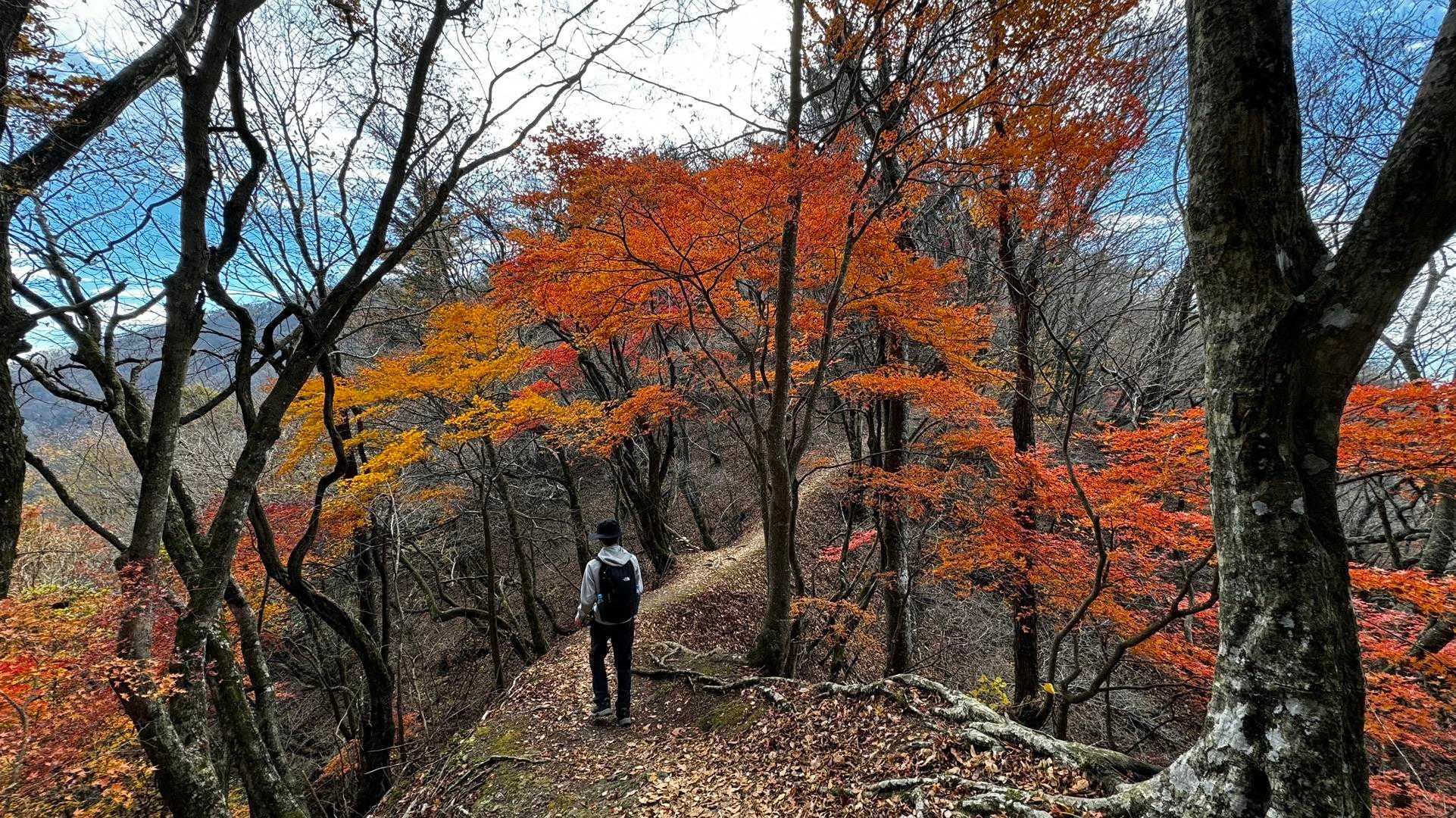 蛾ヶ岳・大畠山 の写真 3