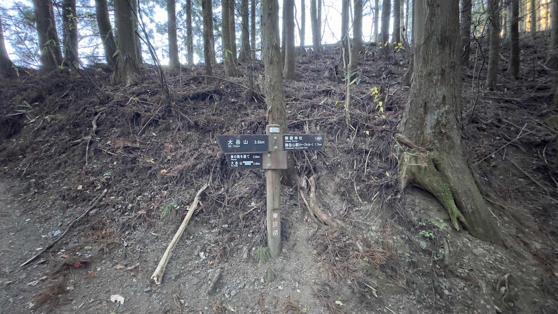 御岳山、鍋割山、大岳山 の写真 23