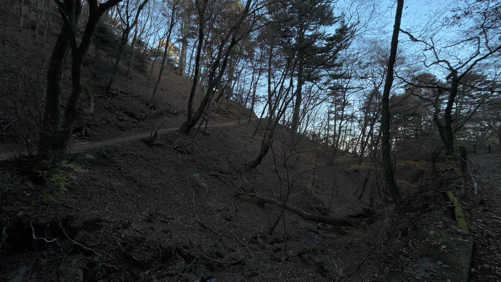 御岳山、鍋割山、大岳山 の写真 21