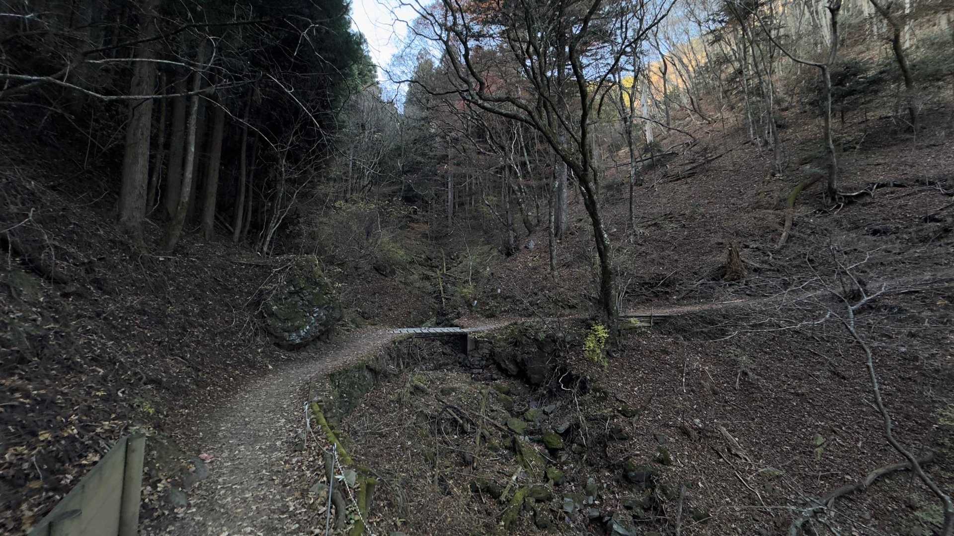 御岳山、鍋割山、大岳山 の写真 20