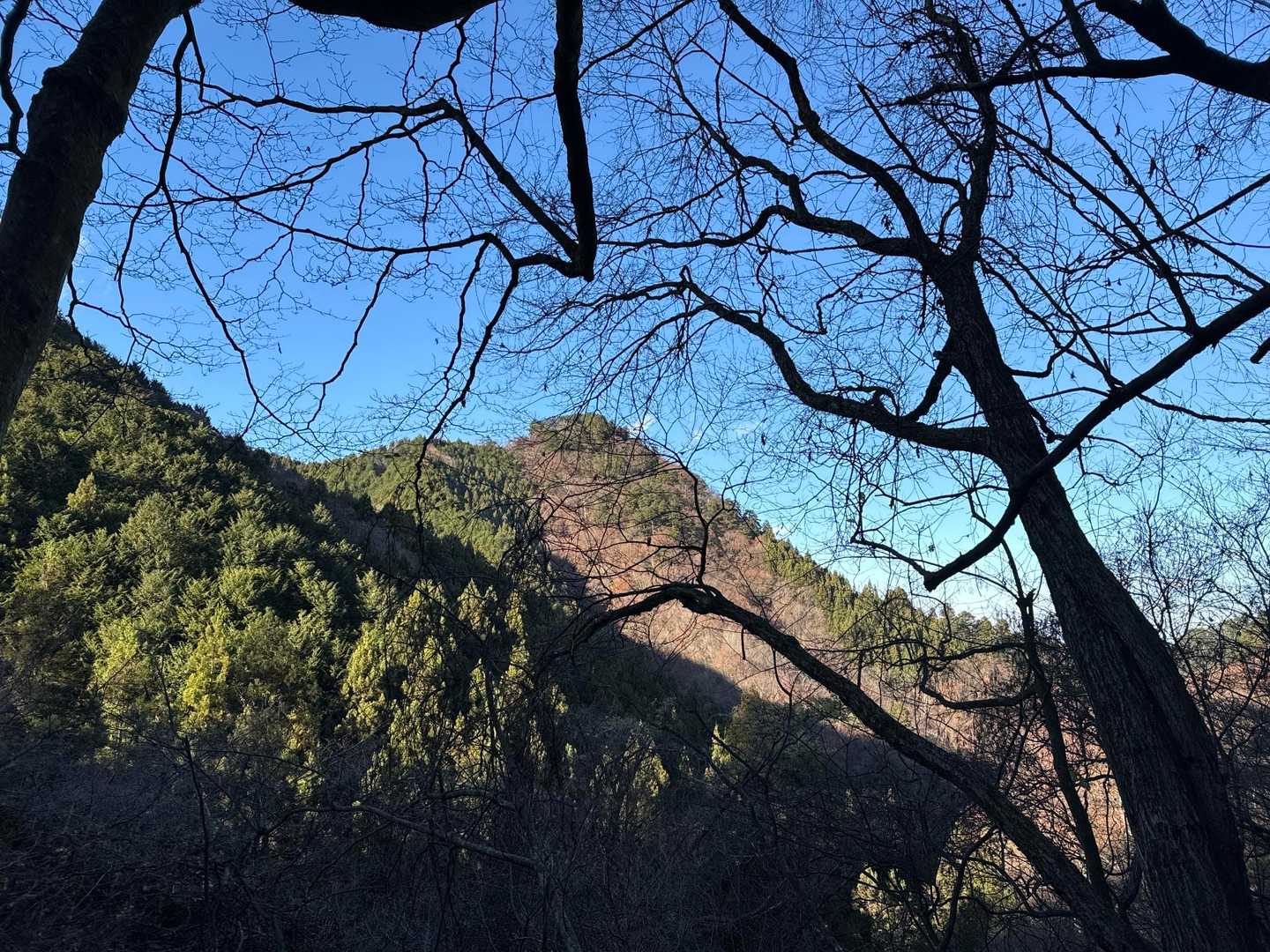 御岳山、鍋割山、大岳山 の写真 18