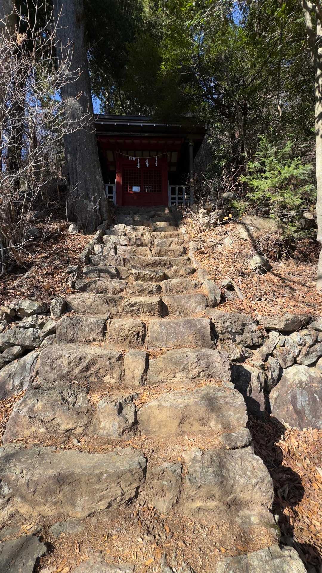 御岳山、鍋割山、大岳山 の写真 10