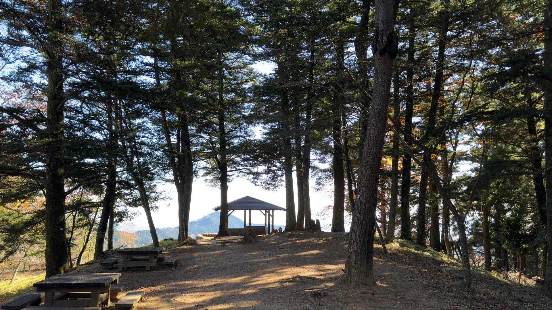 御岳山、鍋割山、大岳山 の写真 5