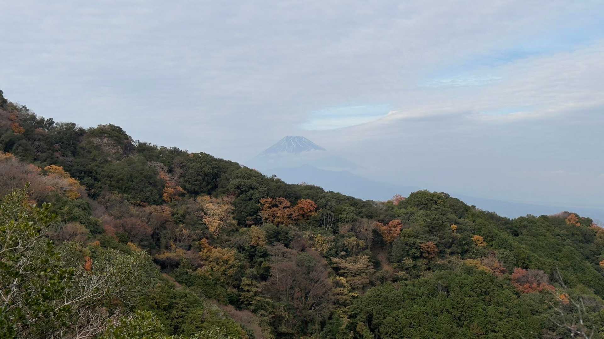 沼津アルプス（香貫山・横山・徳倉山・鷲頭山・大平山） の写真 42