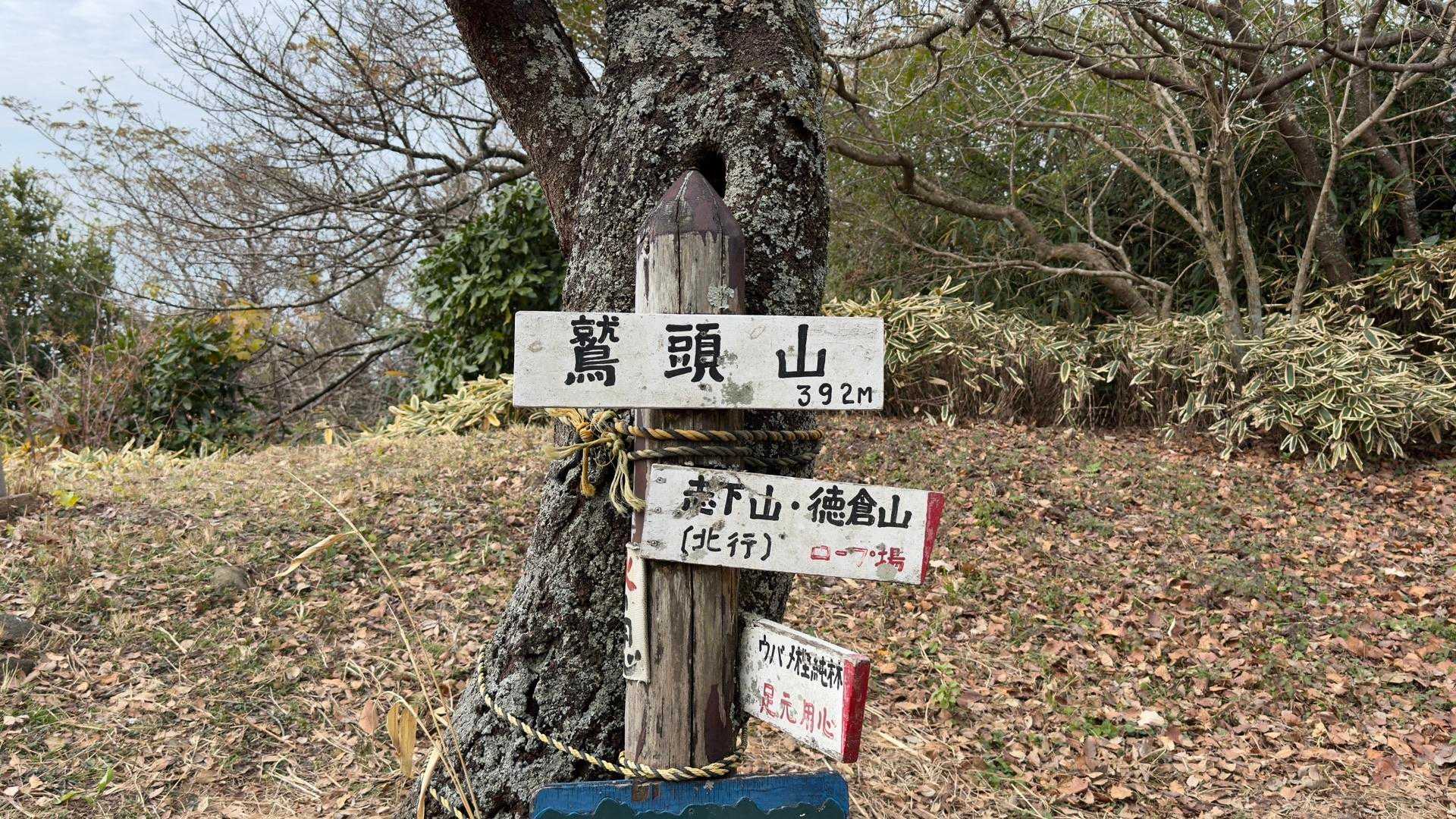 沼津アルプス（香貫山・横山・徳倉山・鷲頭山・大平山） の写真 40