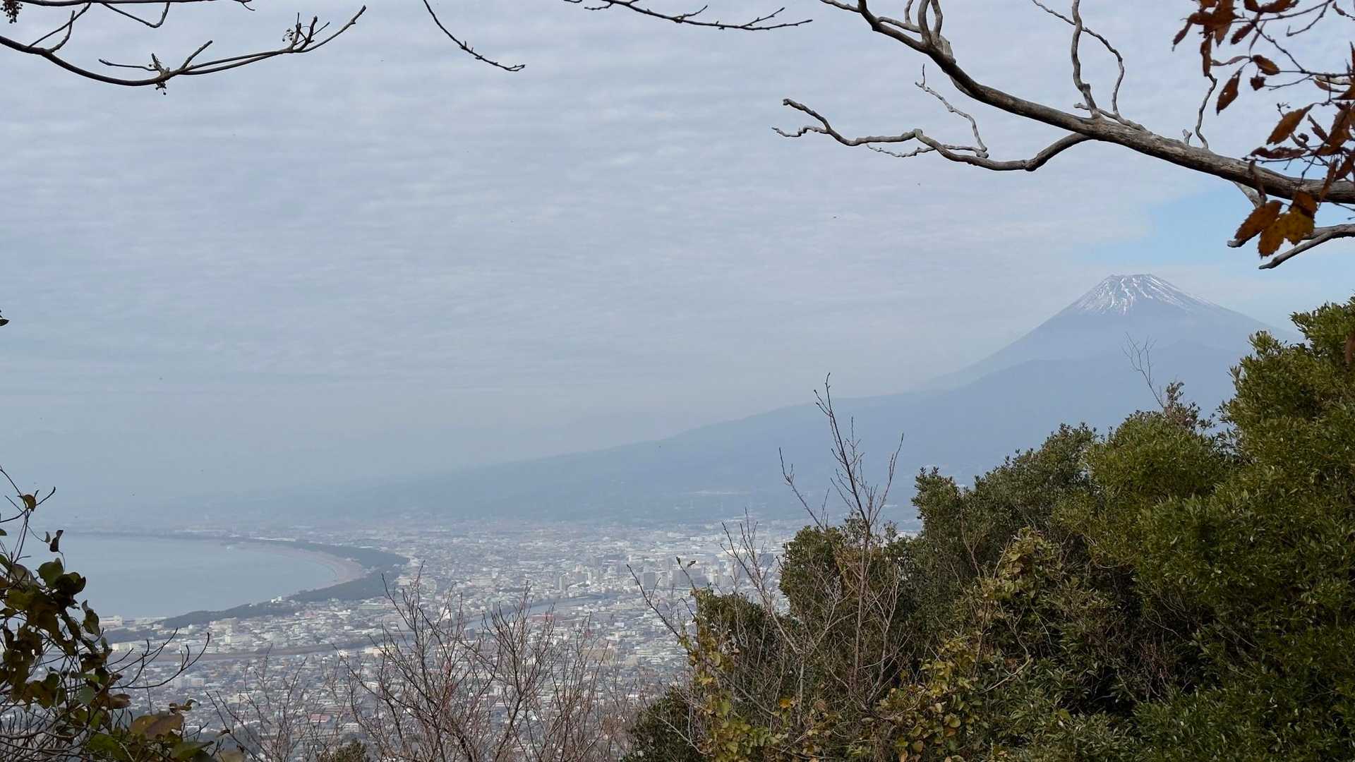 沼津アルプス（香貫山・横山・徳倉山・鷲頭山・大平山） の写真 39