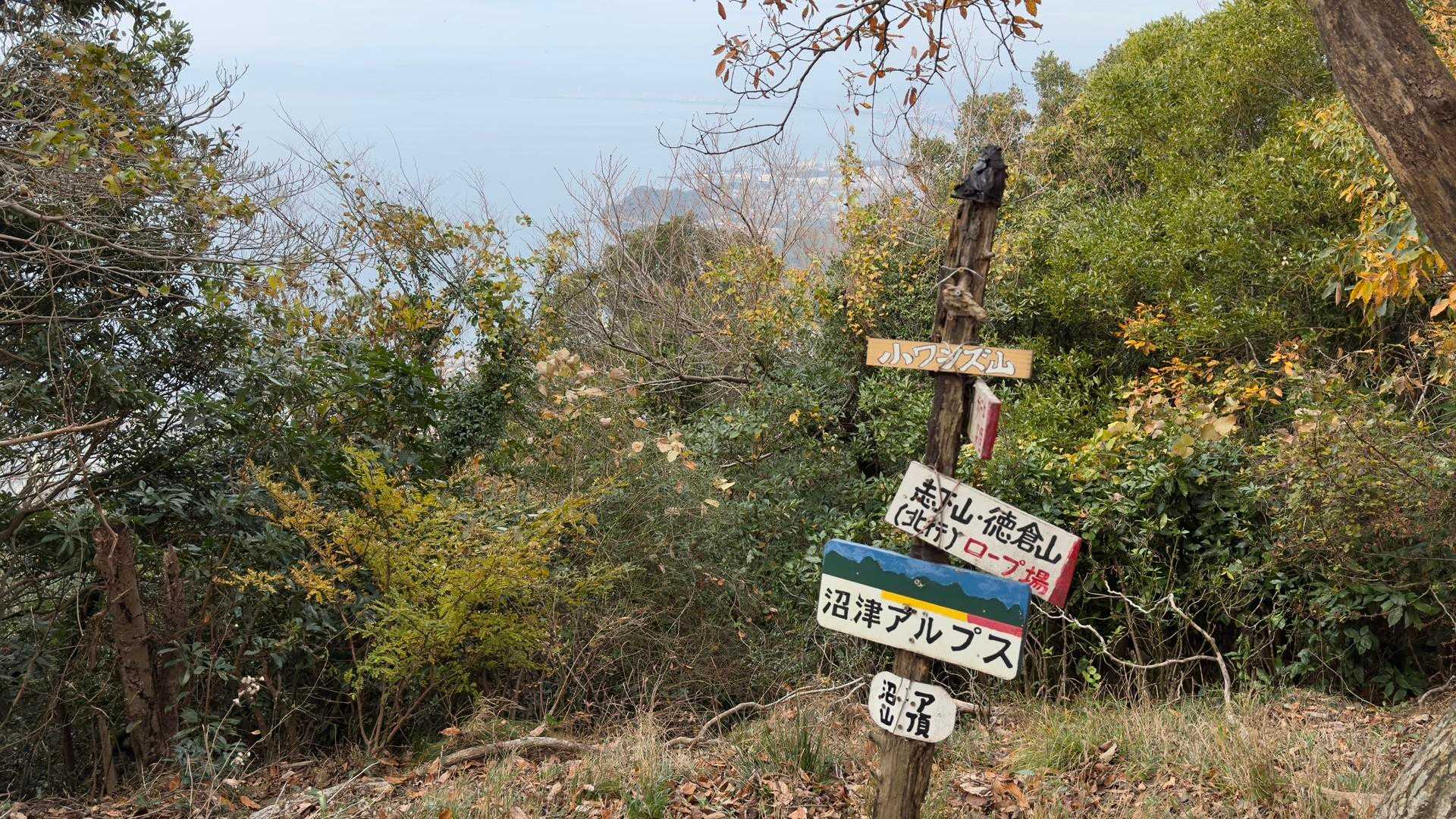 沼津アルプス（香貫山・横山・徳倉山・鷲頭山・大平山） の写真 38