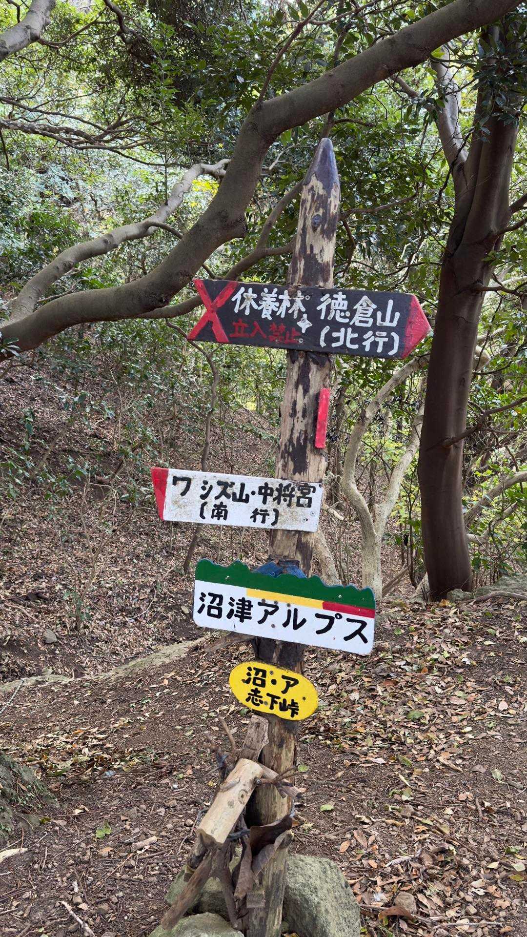 沼津アルプス（香貫山・横山・徳倉山・鷲頭山・大平山） の写真 37