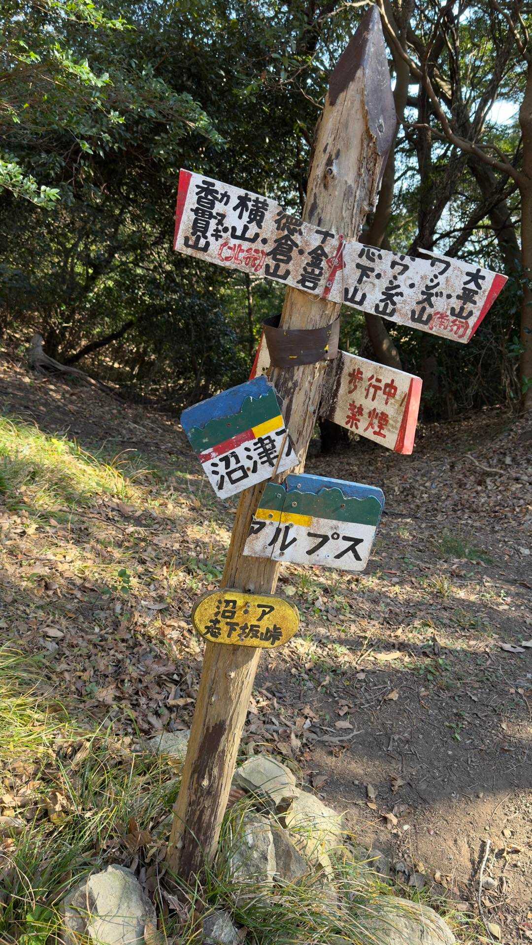 沼津アルプス（香貫山・横山・徳倉山・鷲頭山・大平山） の写真 32