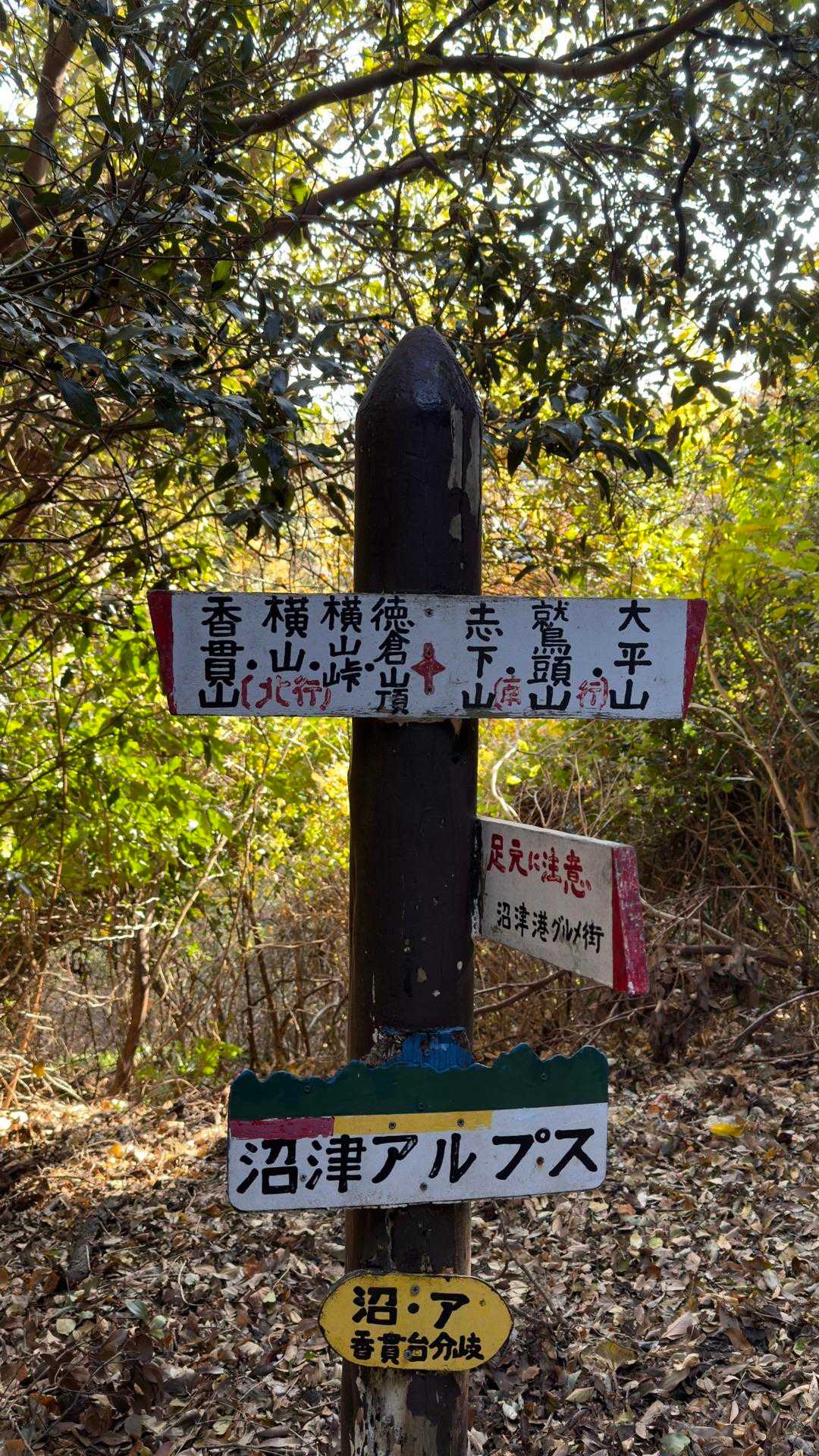 沼津アルプス（香貫山・横山・徳倉山・鷲頭山・大平山） の写真 30