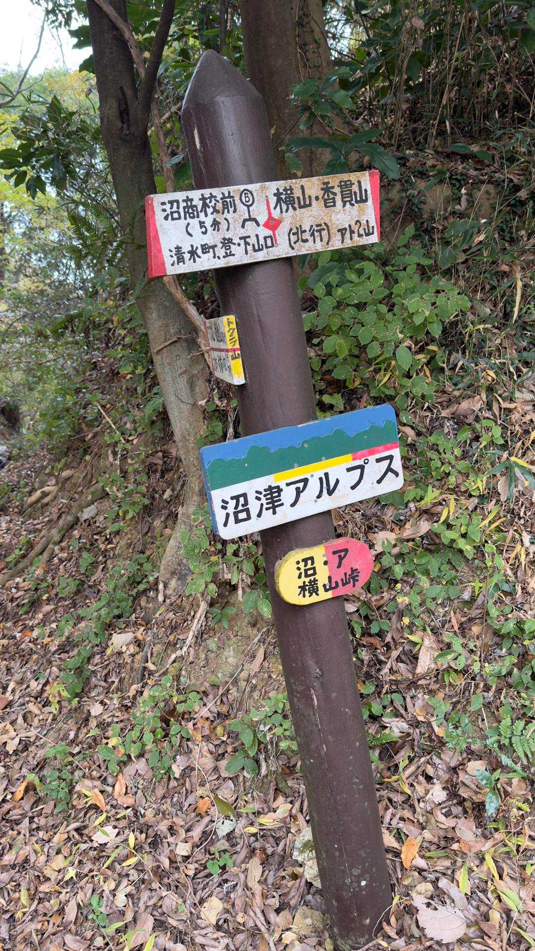 沼津アルプス（香貫山・横山・徳倉山・鷲頭山・大平山） の写真 27