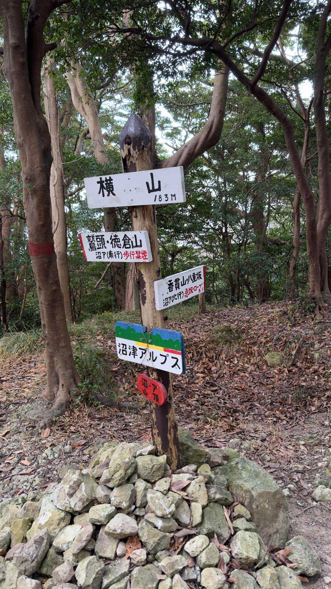 沼津アルプス（香貫山・横山・徳倉山・鷲頭山・大平山） の写真 26