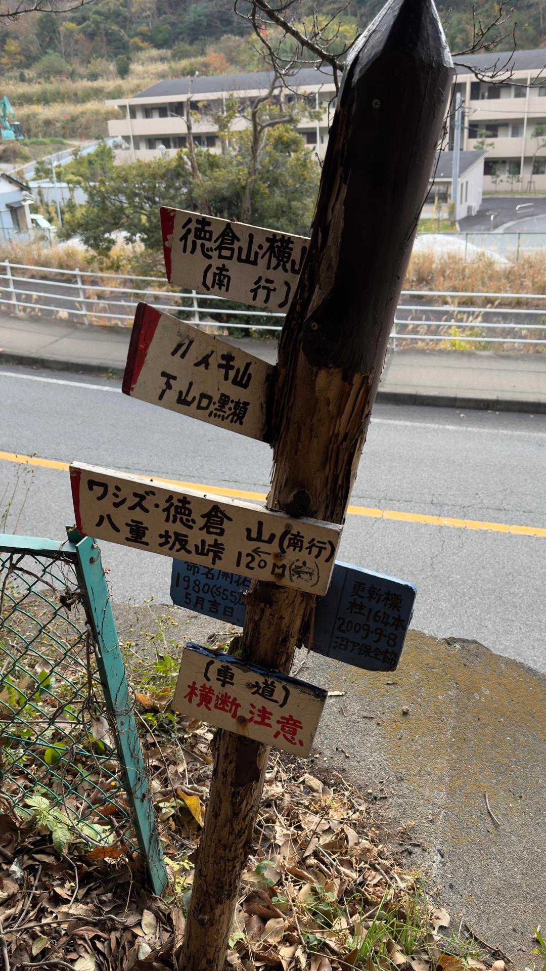 沼津アルプス（香貫山・横山・徳倉山・鷲頭山・大平山） の写真 23