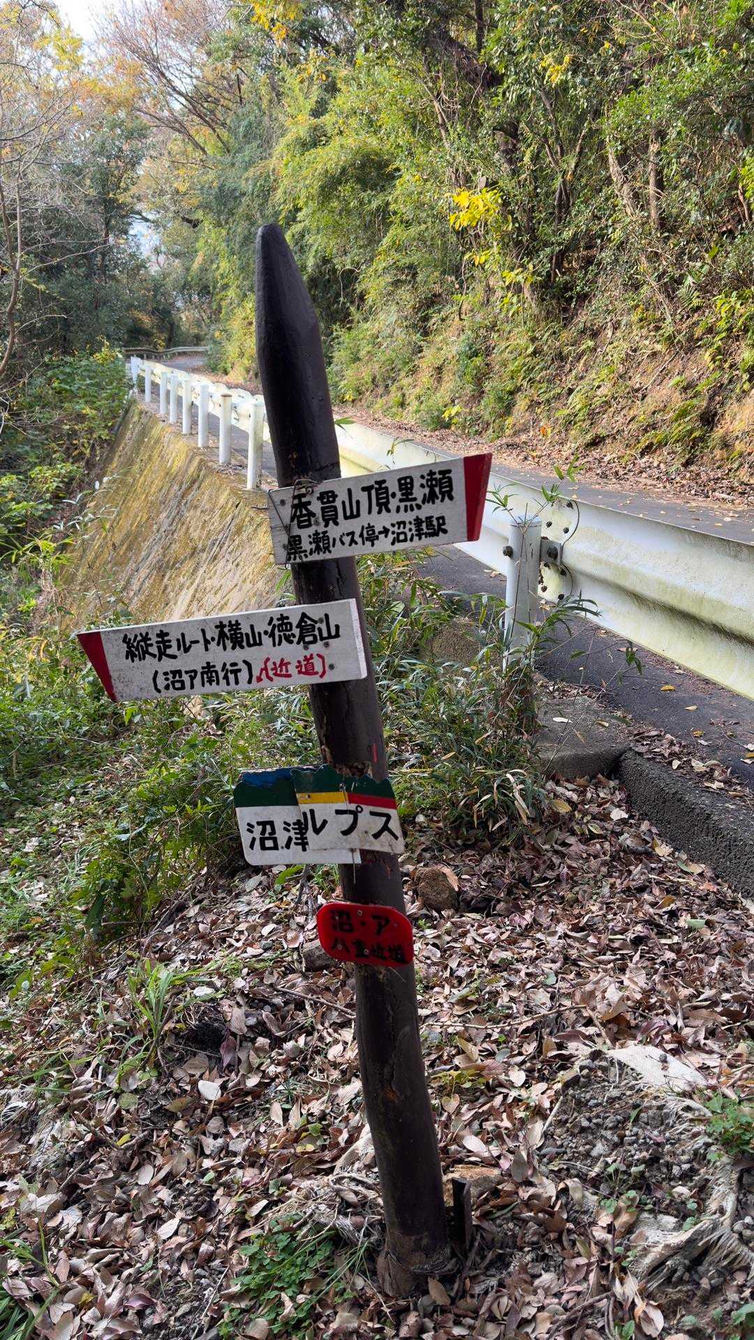 沼津アルプス（香貫山・横山・徳倉山・鷲頭山・大平山） の写真 22