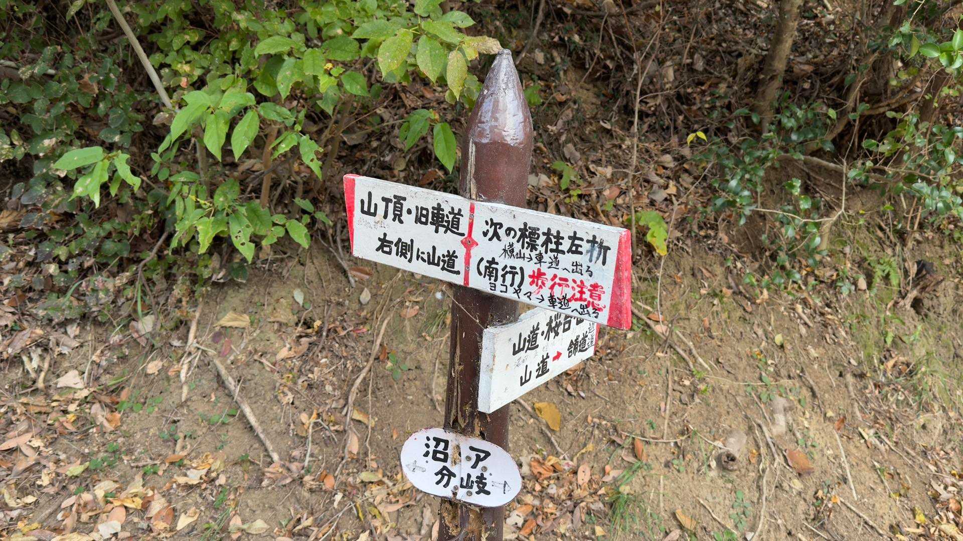 沼津アルプス（香貫山・横山・徳倉山・鷲頭山・大平山） の写真 21