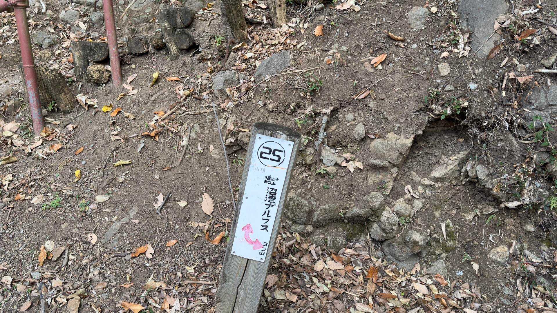 沼津アルプス（香貫山・横山・徳倉山・鷲頭山・大平山） の写真 20