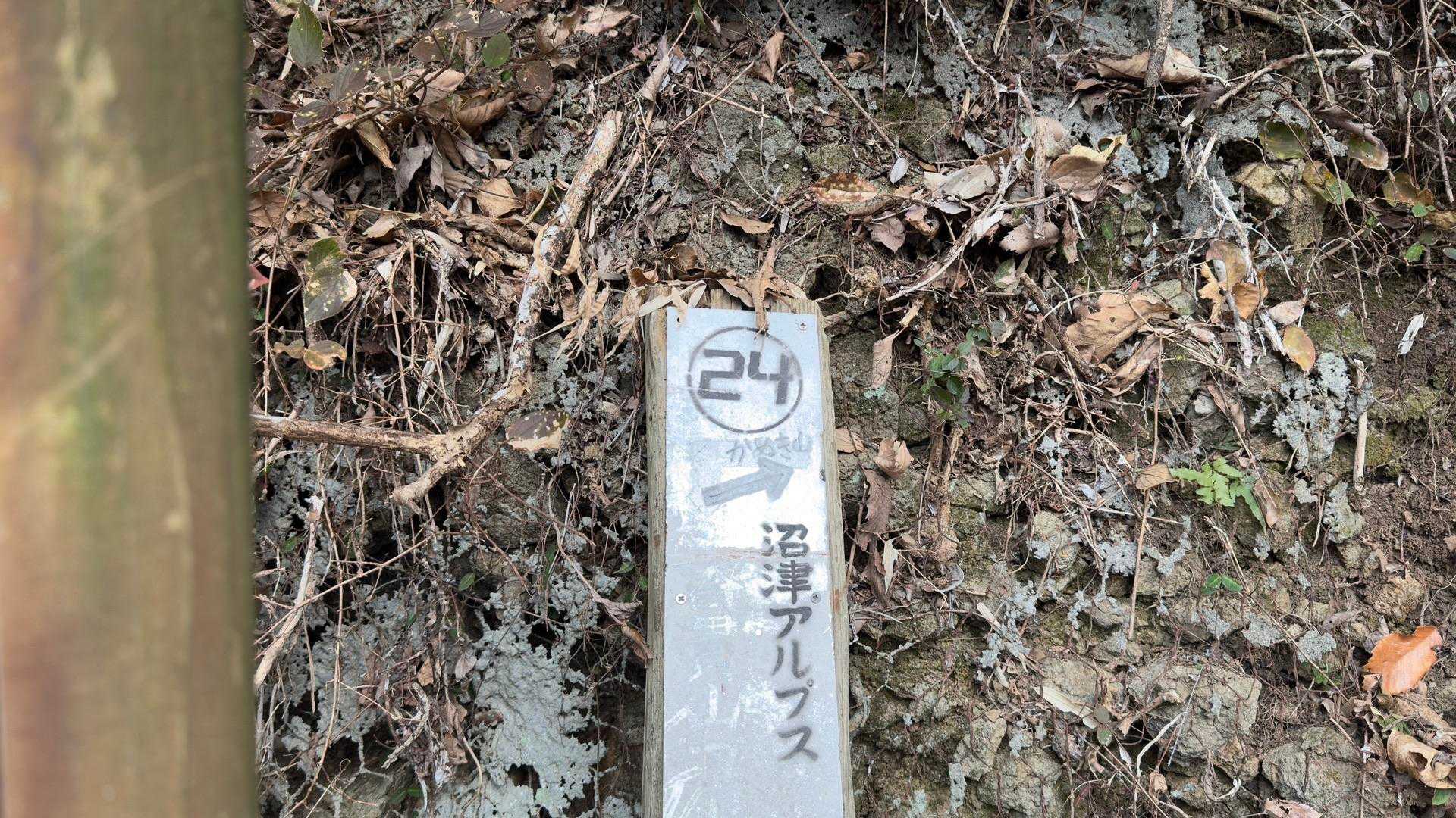 沼津アルプス（香貫山・横山・徳倉山・鷲頭山・大平山） の写真 19