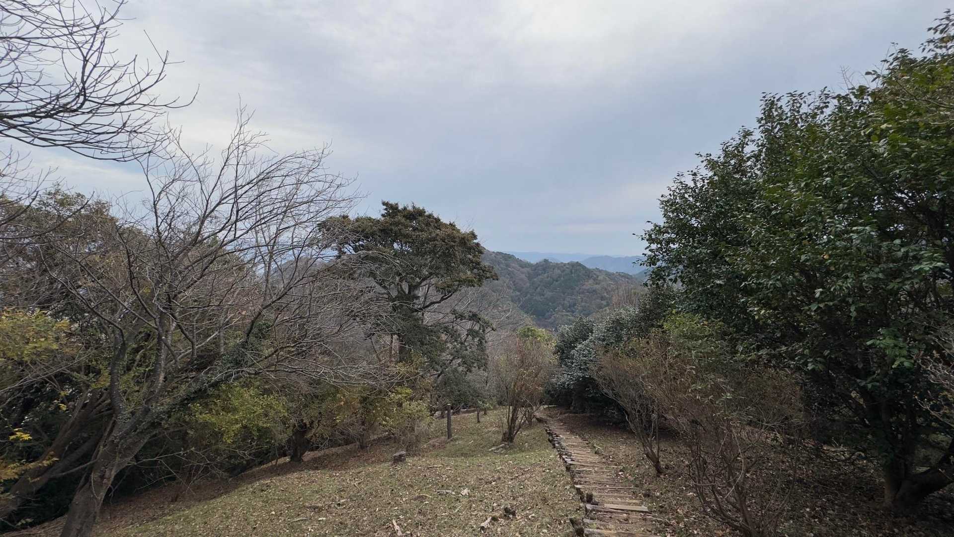 沼津アルプス（香貫山・横山・徳倉山・鷲頭山・大平山） の写真 18