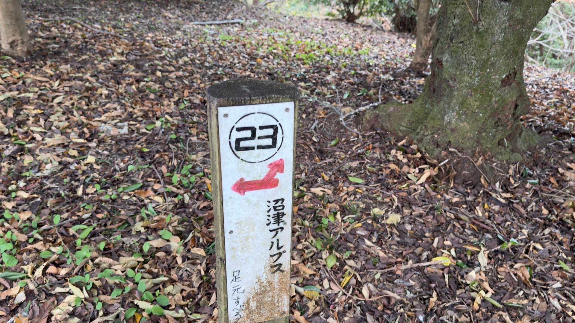 沼津アルプス（香貫山・横山・徳倉山・鷲頭山・大平山） の写真 17