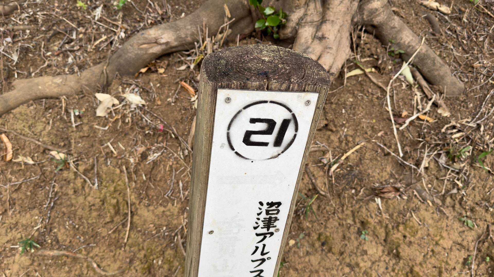 沼津アルプス（香貫山・横山・徳倉山・鷲頭山・大平山） の写真 15