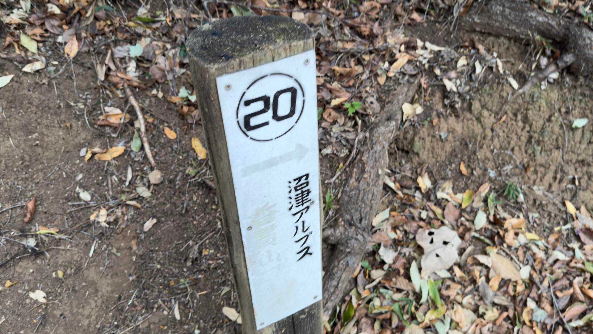 沼津アルプス（香貫山・横山・徳倉山・鷲頭山・大平山） の写真 14